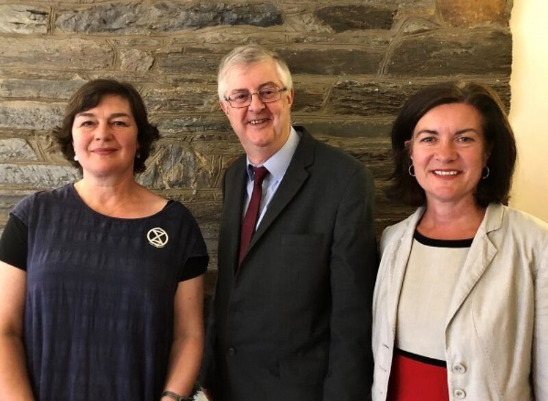Dinah Mulholland Ceredigion Labour candidate